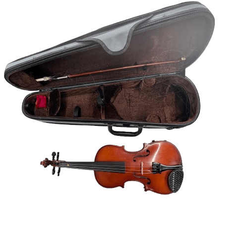 Raggetti RV2 Violin Comes With Case (MK)