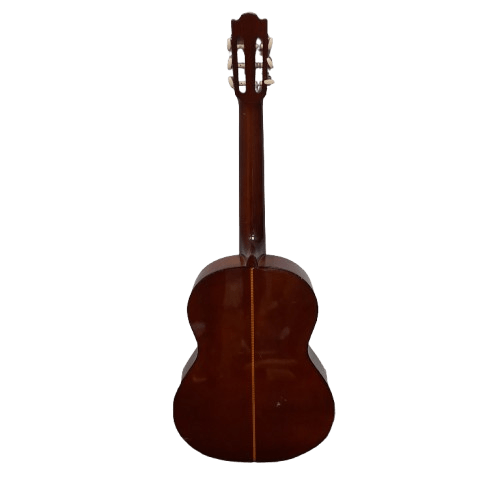 Valencia TC-40 Acoustic Guitar with Soft Case
