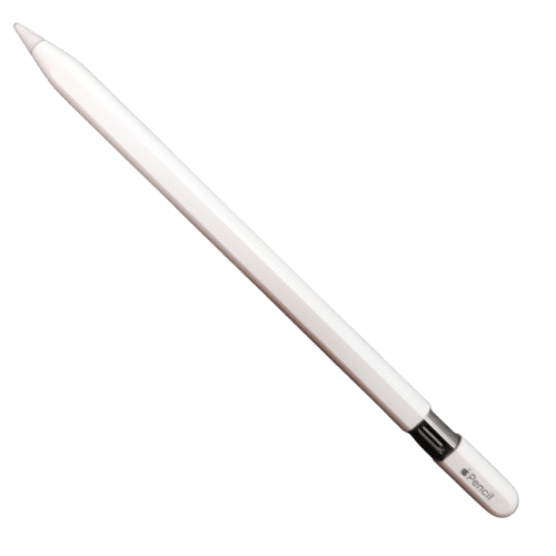 Apple Pencil (USB-C) In The Box ( Great Condition) (LN) – Cashsavvy