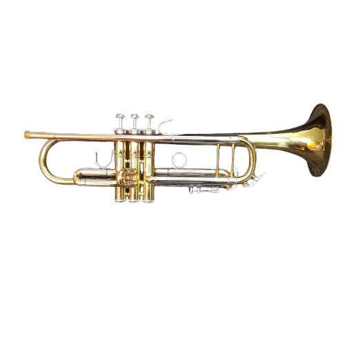 Wisemann Standard Bb Trumpet DTR-250 With Hard Carry Case (MR)