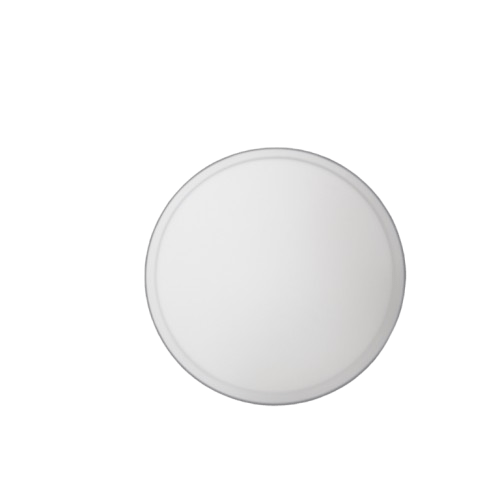 Thorn Ceiling Light 96627779