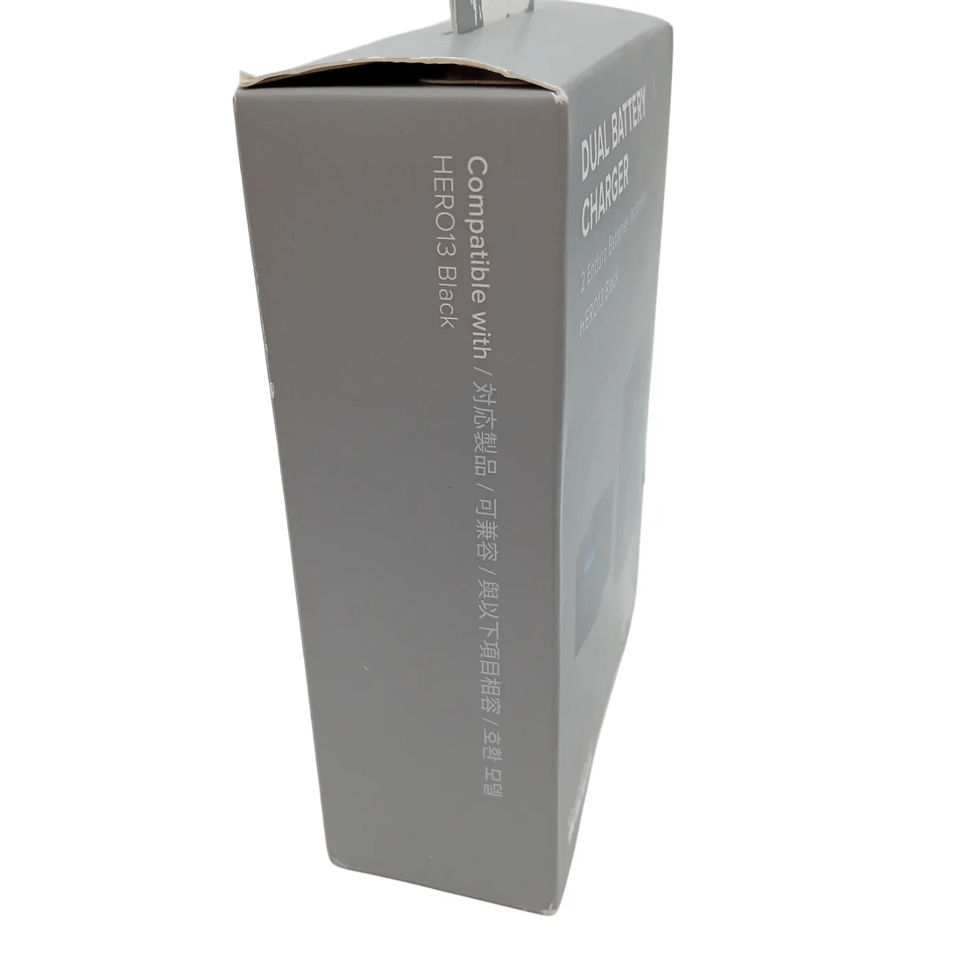 GoPro ACTB1 Dual Battery Charger  (WR 1338894)
