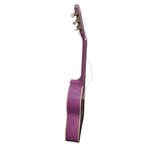 Grover Allman GS201PR The Simpson’s Pink Guitar