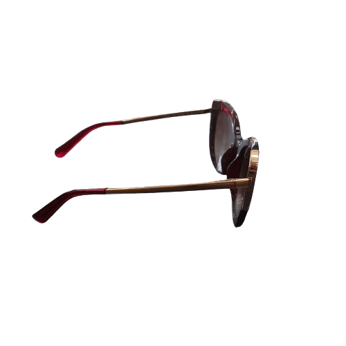 Salvatore Ferragamo SF890S Sunglasses with Case