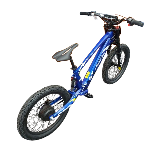 Ampd Bros EVO Racing 20″ Electric Bike Blue Thunder With Manual and Charger – Pickup Only (NA 1343861)