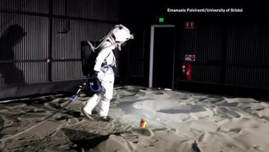 big tech in court, Alibaba’s AI Olympic fashion big tech in court, Alibaba’s AI Olympic fashion