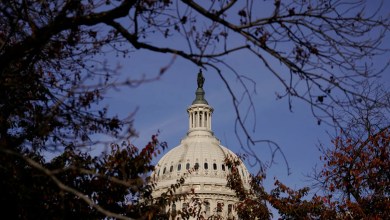 Cutting aid for children is unhelpful. Here’s where to find abuse. Cutting aid for children is unhelpful. Here’s where to find abuse.