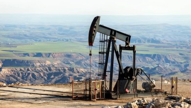 ‘This has confirmed our worst fears’ ‘This has confirmed our worst fears’