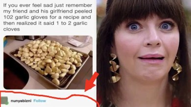 I Just Spit Out My Iced Americano Cackling At These Complete Strangers Who Came Out Of Nowhere With The Funniest Possible Reply To A Random Comment I Just Spit Out My Iced Americano Cackling At These Complete Strangers Who Came Out Of Nowhere With The Funniest Possible Reply To A Random Comment