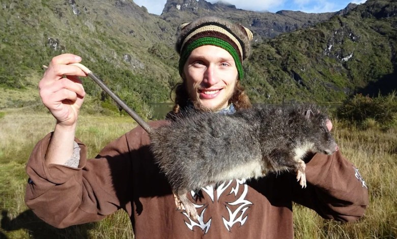 A Mysterious Rat Vanished Into the Mountains in 1989. It Just Showed Its Face for the First Time Since. A Mysterious Rat Vanished Into the Mountains in 1989. It Just Showed Its Face for the First Time Since.