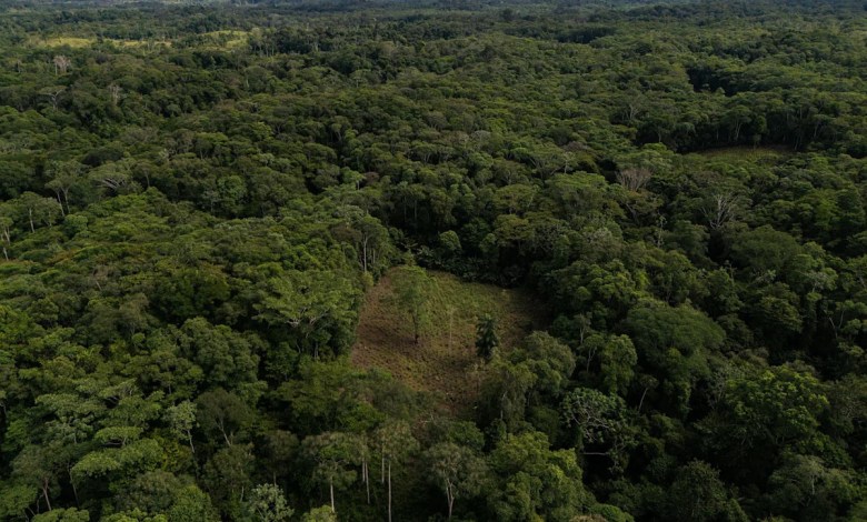 Colombia will use drones to destroy coca crops as it grapples with record cocaine production Colombia will use drones to destroy coca crops as it grapples with record cocaine production