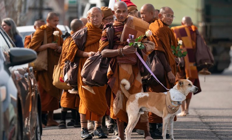 Buddhist monks and their dog captivate Americans while walking for peace Buddhist monks and their dog captivate Americans while walking for peace