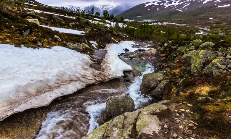 ‘It was like the glacier was giving us a gift’ ‘It was like the glacier was giving us a gift’