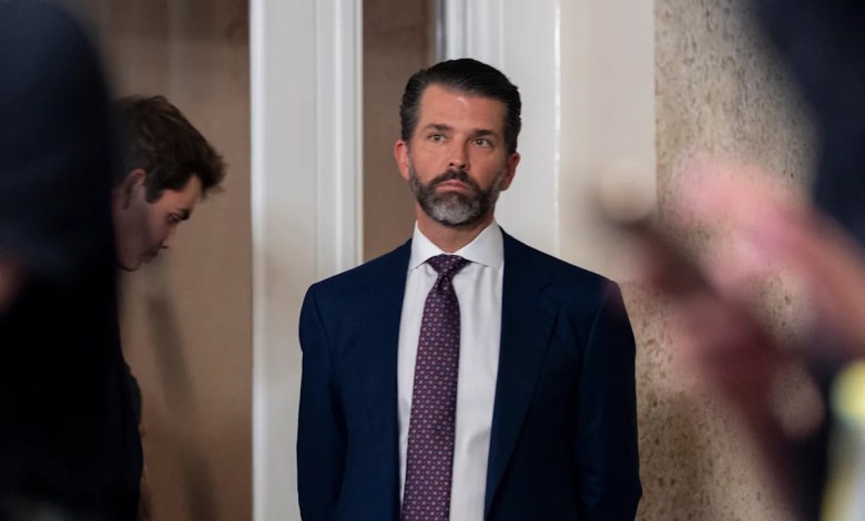 Trump’s son suggests president may walk away from Ukraine Trump’s son suggests president may walk away from Ukraine