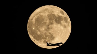 Best time to see spectacular orange ‘buck moon’ over UK skies Best time to see spectacular orange ‘buck moon’ over UK skies
