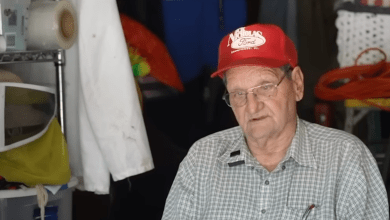 Elderly beekeeper, 84, loses main source of income after neighbor has 20 hives taken from property. Here’s what happened Elderly beekeeper, 84, loses main source of income after neighbor has 20 hives taken from property. Here’s what happened