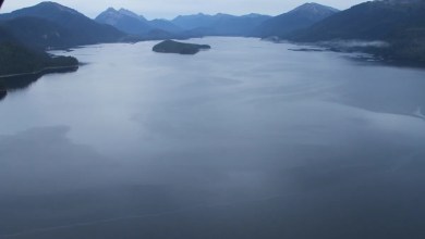 Scientists make stunning discovery in remote corner of Alaska: ‘We were surprised’ Scientists make stunning discovery in remote corner of Alaska: ‘We were surprised’