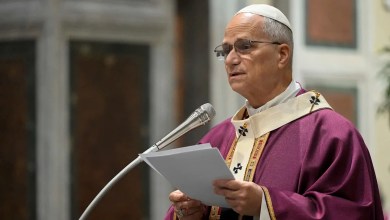 ‘The brain needs to be used’ ‘The brain needs to be used’