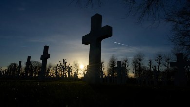 US removal of panels honoring Black soldiers at WWII cemetery in the Netherlands draws backlash US removal of panels honoring Black soldiers at WWII cemetery in the Netherlands draws backlash