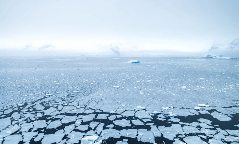 ‘We were not expecting this’ ‘We were not expecting this’