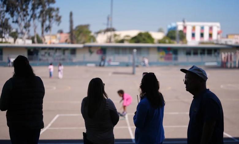 Immigrant student enrollment is dwindling at schools across the US Immigrant student enrollment is dwindling at schools across the US