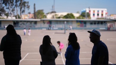 Immigrant student enrollment is dwindling at schools across the US Immigrant student enrollment is dwindling at schools across the US