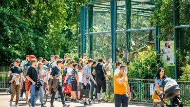 ‘That dude should be charged’ ‘That dude should be charged’