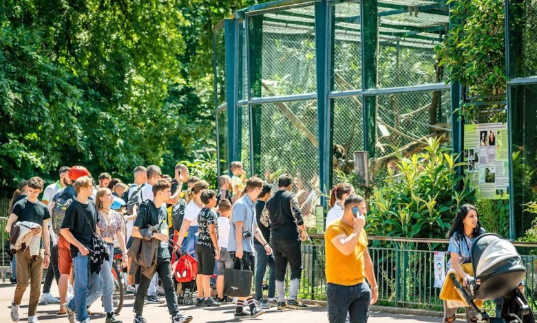 ‘That dude should be charged’ ‘That dude should be charged’