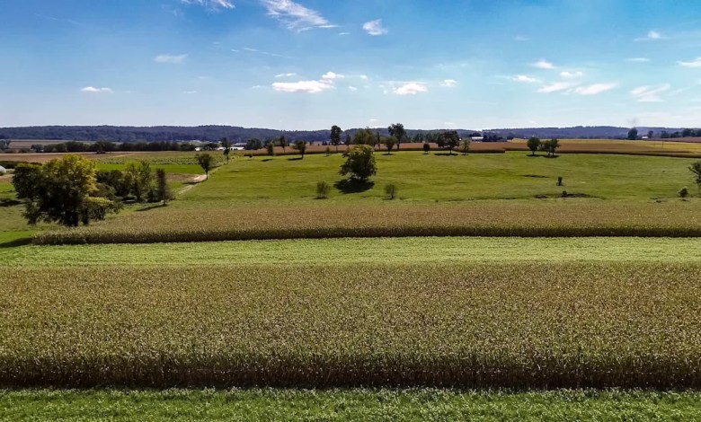 ‘It should be a priority’ ‘It should be a priority’