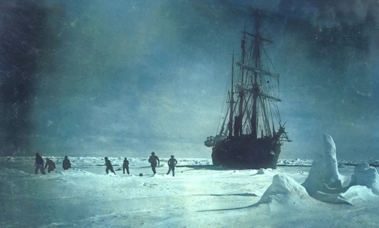The Search For A Lost Vessel Led Scientists To A Biological Discovery In The Antarctic The Search For A Lost Vessel Led Scientists To A Biological Discovery In The Antarctic