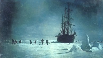The Search For A Lost Vessel Led Scientists To A Biological Discovery In The Antarctic The Search For A Lost Vessel Led Scientists To A Biological Discovery In The Antarctic