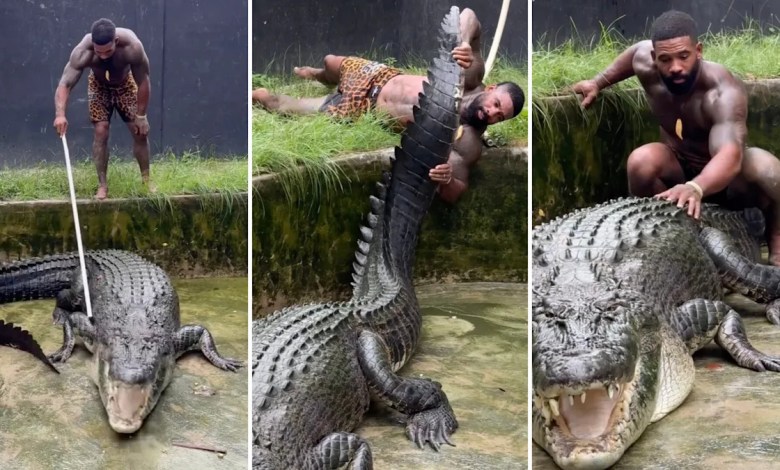Man known as ‘The Real Tarzann’ under fire for shocking videos with massive reptiles: ‘Extremely dangerous and illegal’ Man known as ‘The Real Tarzann’ under fire for shocking videos with massive reptiles: ‘Extremely dangerous and illegal’
