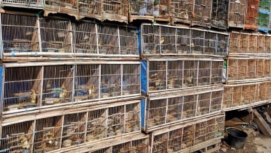 Researchers uncover massive surge in concerning cargo crossing US borders: ‘In plain sight’ Researchers uncover massive surge in concerning cargo crossing US borders: ‘In plain sight’