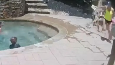 Hero son’s split-second warning saves sunbathing mom’s life Hero son’s split-second warning saves sunbathing mom’s life