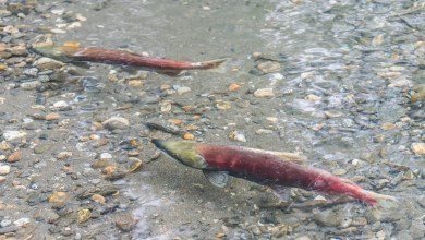 ‘The ingredients that mattered here will matter elsewhere’ ‘The ingredients that mattered here will matter elsewhere’