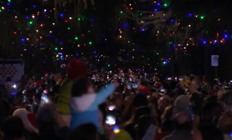 Altadena’s Christmas Tree Lane set to light up again 11 months after Eaton Fire Altadena’s Christmas Tree Lane set to light up again 11 months after Eaton Fire