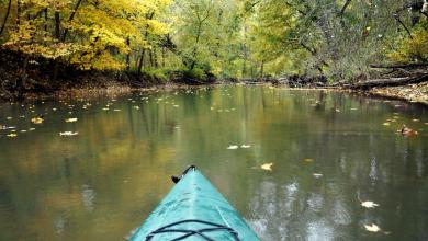 Hands-Down Indiana’s 5 Best Destinations To Kayak, According To Paddlers Hands-Down Indiana’s 5 Best Destinations To Kayak, According To Paddlers