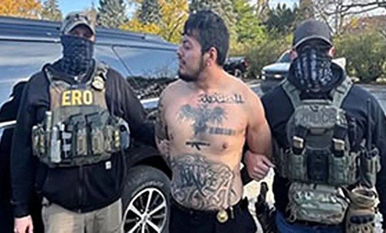 Former DACA recipient with violent criminal past flees ICE, tries balcony jump during Chicago arrest Former DACA recipient with violent criminal past flees ICE, tries balcony jump during Chicago arrest