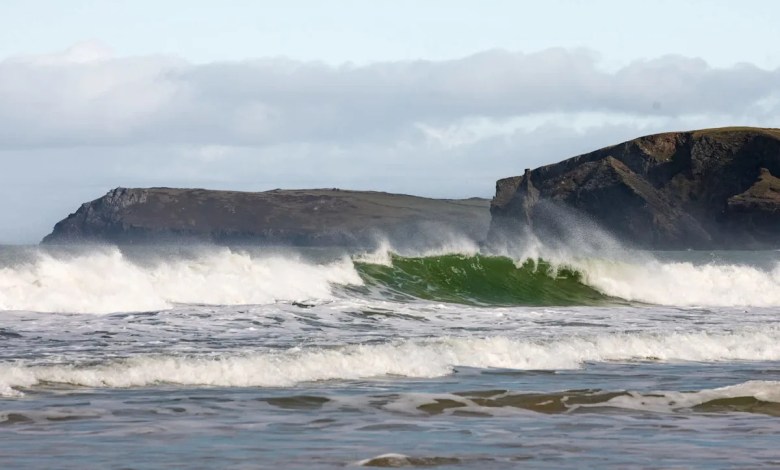 Diver captures stunning video of prehistoric fish emerging from depths: ‘Very unusual’ Diver captures stunning video of prehistoric fish emerging from depths: ‘Very unusual’
