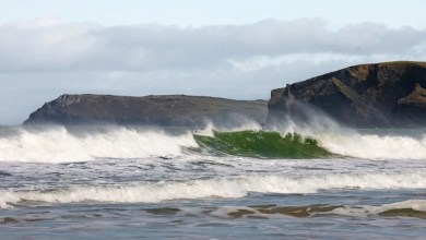 Diver captures stunning video of prehistoric fish emerging from depths: ‘Very unusual’ Diver captures stunning video of prehistoric fish emerging from depths: ‘Very unusual’