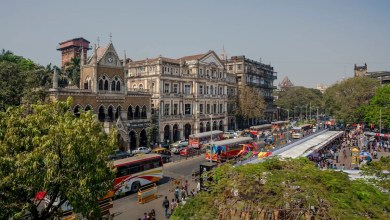 ‘By the time our team reached, the animal had disappeared’ ‘By the time our team reached, the animal had disappeared’
