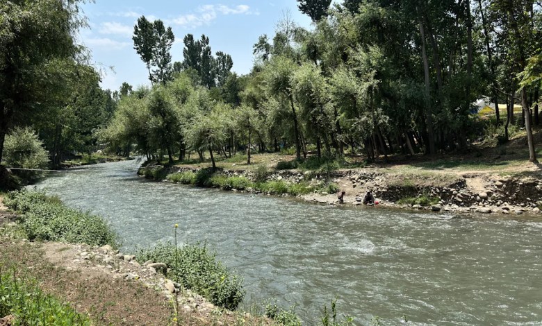 Otters spotted in Kashmir waters, and residents are both thrilled and wary Otters spotted in Kashmir waters, and residents are both thrilled and wary