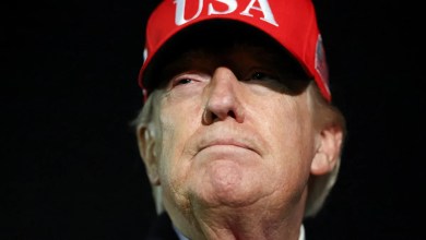 Panicking Trump Insiders Let Truth Slip About Never-Ending Chaos Panicking Trump Insiders Let Truth Slip About Never-Ending Chaos