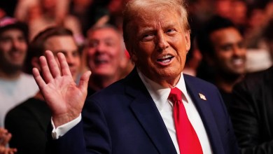 President Trump reveals plan to build 100,000-seat stadium for UFC White House event President Trump reveals plan to build 100,000-seat stadium for UFC White House event
