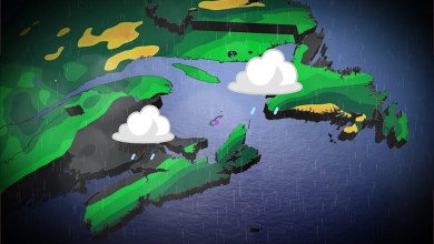 Beneficial rains to help douse East Coast’s parched, fire-risk conditions Beneficial rains to help douse East Coast’s parched, fire-risk conditions