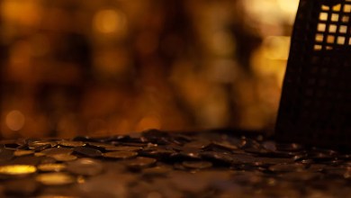 They Were Supposed to Be Building a Highway. Instead, They Found a Town Full of Treasure. They Were Supposed to Be Building a Highway. Instead, They Found a Town Full of Treasure.