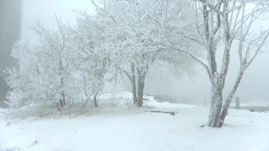 Early winter cold snap brings snow to Germany Early winter cold snap brings snow to Germany