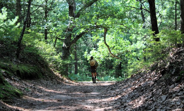 U.S. Forest Service to close all research sites in Michigan; a state with 3M acres of national forests U.S. Forest Service to close all research sites in Michigan; a state with 3M acres of national forests
