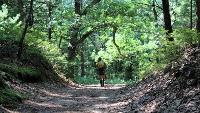 U.S. Forest Service to close all research sites in Michigan; a state with 3M acres of national forests U.S. Forest Service to close all research sites in Michigan; a state with 3M acres of national forests