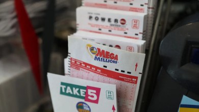 See winning numbers for Mega Millions, Pick 3 on Nov. 25, 2025 See winning numbers for Mega Millions, Pick 3 on Nov. 25, 2025
